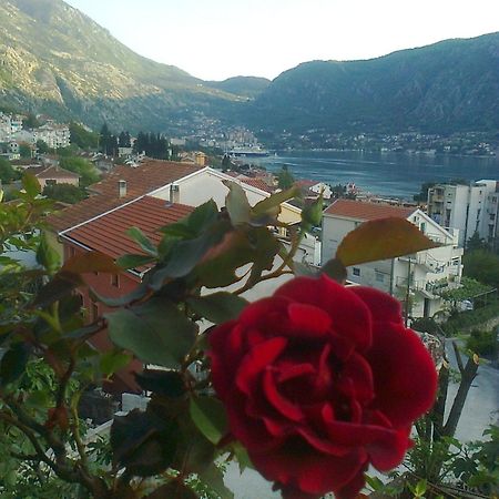 Apartment Aki Kotor Exterior photo