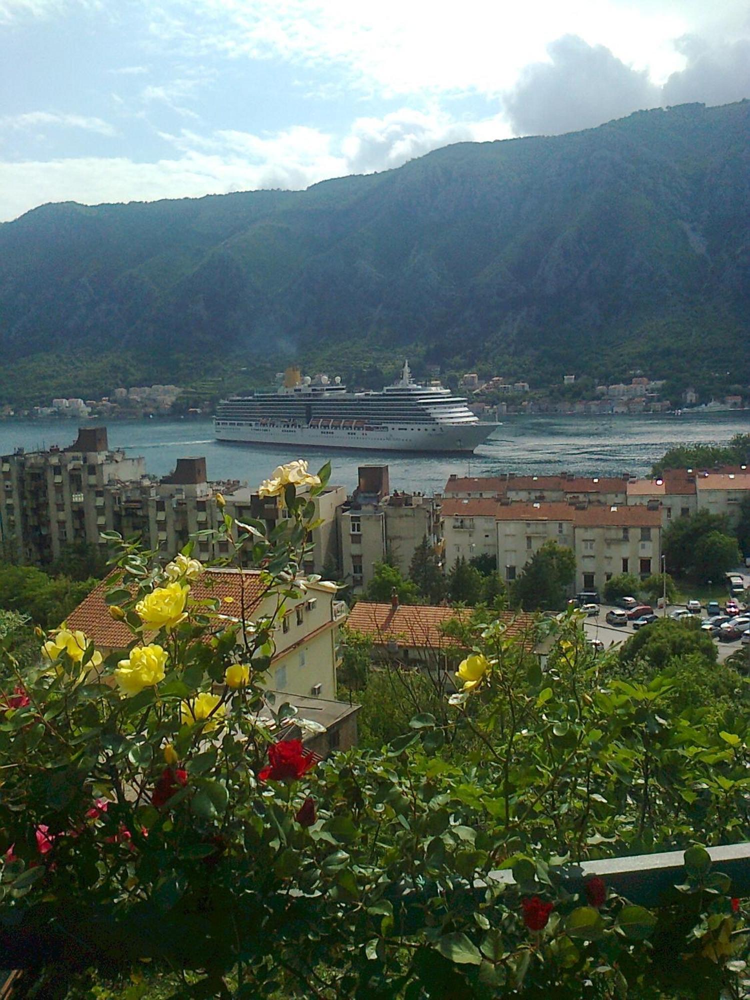 Apartment Aki Kotor Exterior photo