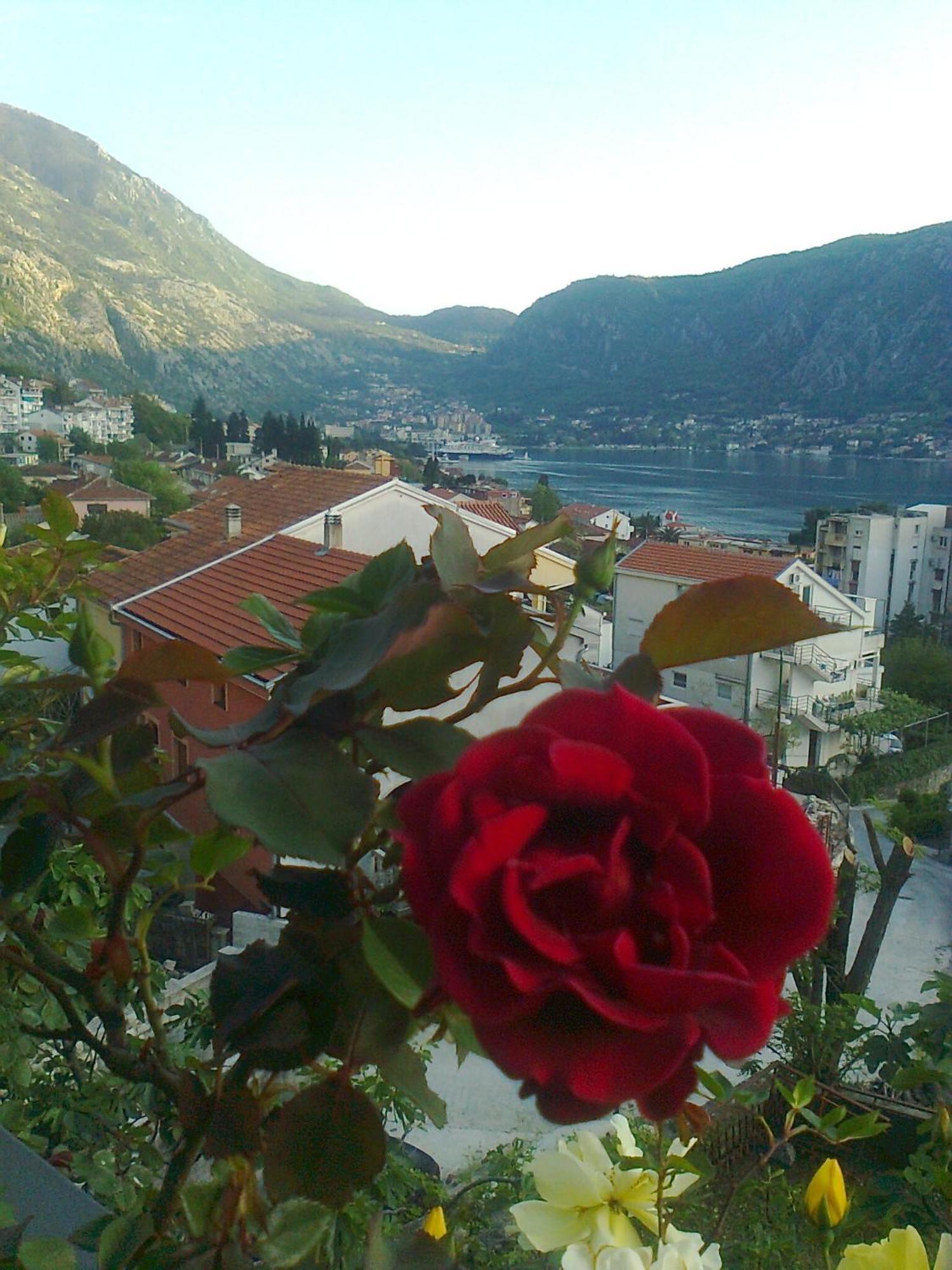 Apartment Aki Kotor Exterior photo